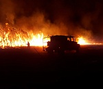 В Астраханском заповеднике сгорела площадь в 220 Астраханских кремлей: кадры ЧП