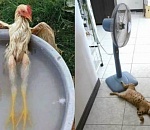 Город-гриль: завтра астраханцев ждёт дикая жара