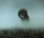 В Астрахань завтра вернутся туман и гололед