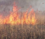 В Астрахани поджигатель устроил пожар на площади 200 кв.м.