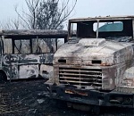 Под Астраханью из-за лошадей произошло страшное ДТП: сгорели микроавтобус и грузовик