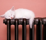 Завтра в Астрахани тепло, но ветрено