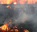 Астраханцы опять жалуются на запах гари