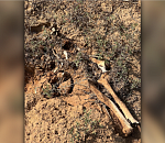 В Астраханской области неизвестные разрушили памятник истории и культуры