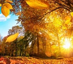 Завтра в Астрахань придет жара