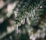 Какая погода ждет астраханцев на Новый год