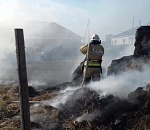 Под Астраханью огонь спалил 100 рулонов сена