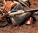 Астраханские охотники нарушают правила