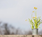 +25°: завтра в Астрахани будет припекать 