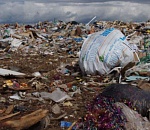 Астраханка просит чиновников обратить внимание на свалку, в которую превратился Советский поселок (ВИДЕО)