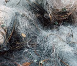 Астраханец получил срок за 200 кг пойманных судаков