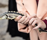 При поддержке ЛУКОЙЛа прошла очередная конференция по сохранению экосистемы Каспия