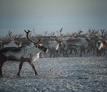 Вместе в цифровое будущее: стартует юбилейный конкурс «Ростелекома» для региональных ИТ-журналистов и блогеров