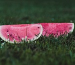 Из-за жары в Астрахани уже поспели первые арбузы