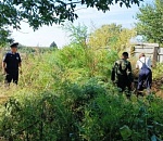 В Астраханской области за второй этап операции «Мак» изъяли 14 кг наркотиков и уничтожили более 109 га наркосодержащих растений