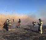 Крупный пожар уничтожил 50 000 квадратов Астраханского заповедника