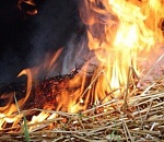 Под Астраханью сгорело 42 рулона сена