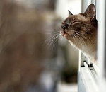 Астраханцам обещают теплую субботу