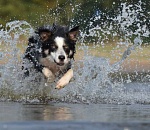 Прохлады не жди: август в Астрахани ожидается жарче климатической нормы