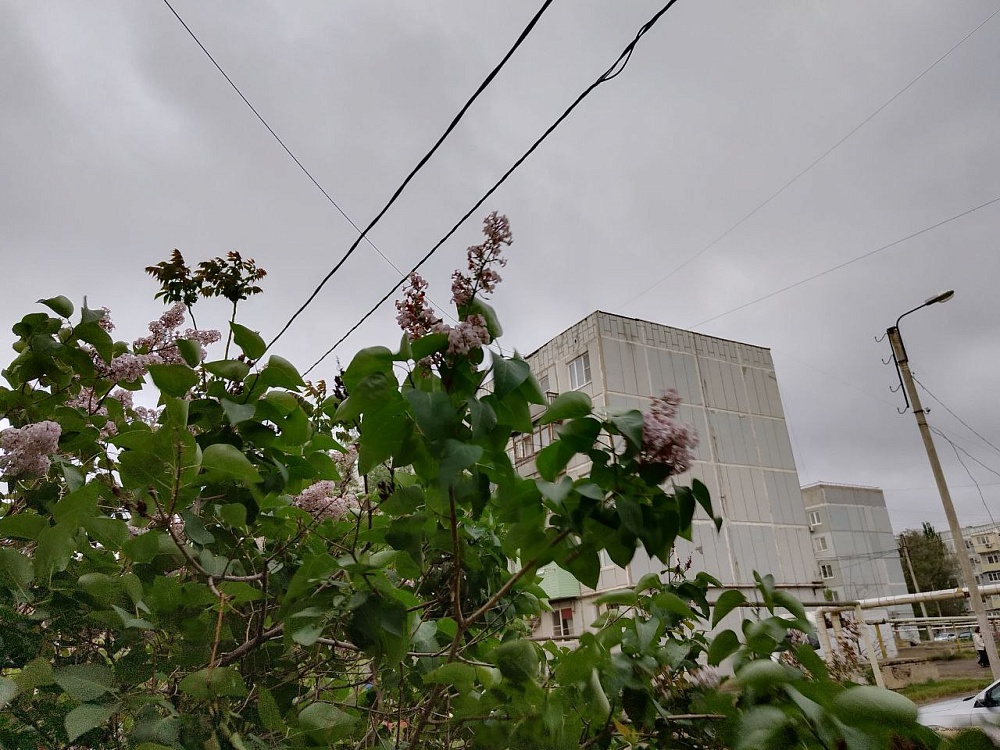 Холод, дождь и порывистый ветер ждут астраханцев завтра