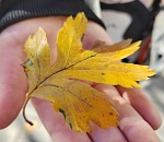 В Астрахани в ближайшие дни испортится погода