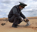 В центральной части Астраханской области обнаружили опустынивание на пастбищных угодьях