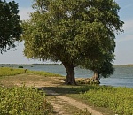 Под Астраханью водитель плавсредства устроил смертельную аварию на воде и скрылся