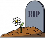 Как умирают инвестпроекты