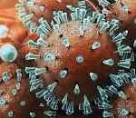 Свежие новости о Covid-19 в Астрахани 