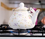 В селе Тамбовка в Астраханской области пустили газ