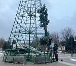Главную городскую елку начали устанавливать в Астрахани