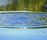 В Астрахани утонула молодая женщина