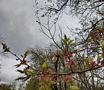 Дождливая погода зарядила в Астрахани