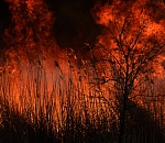 Стена огня едва не уничтожила село в Астраханской области (эксклюзивный фоторепортаж)