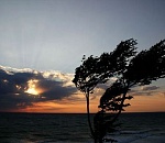 Завтра в Астрахани ожидается теплая погода и сильный ветер 