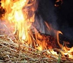 В Астраханской области 10 тонн сена сгорели из-за курильщика