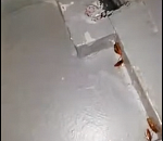 В поезде Атырау-Астрахань засняли логово, кишащее тараканами