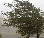 МЧС: Сегодня астраханцам стоит опасаться пыльных бурь