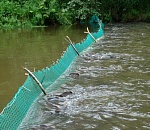 В Астраханской области браконьеры откупились от инспектора