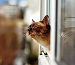 По Астраханской области возможны дожди и порывистые ветры. Зато +13°!