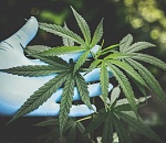 Астраханца задержали на автобусной остановке во время сбыта наркотиков