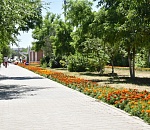 В Астрахани благоустраивают Аллею Воинской славы в АЦКК