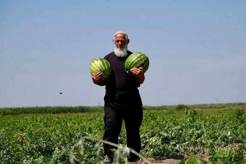Председатель Думы Астраханской области встретился с аграриями Камызякского района 