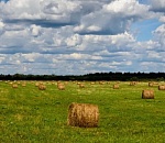 Сильная жара покинула Астрахань