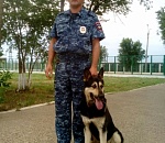 Служебная собака нашла астраханца, спьяну обчистившего соседний дом 