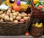 В субботу астраханцев ждет сельскохозяйственная ярмарка