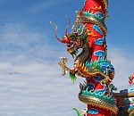 Астраханцев приглашают на встречу китайского Нового года