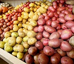 В субботу на Центральном стадионе Астрахани снова пройдет сельхозярмарка