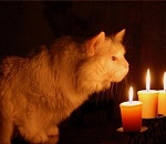 6 июля по всей Астрахани прокатится волна отключений света