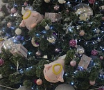 ТОП - 3 самых красивых елок Астрахани и фотокаталог всех елок города